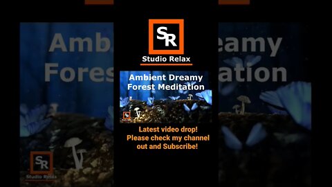 New Relax Channel! #Study #Focus #Meditation #Gaming #Relax #WorkFromHome #Nature #StudioRelax2023