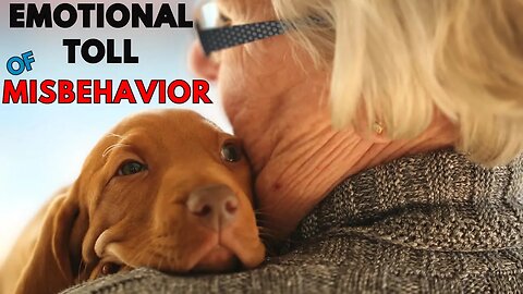 The Emotional Toll of Your Dog’s Misbehavior
