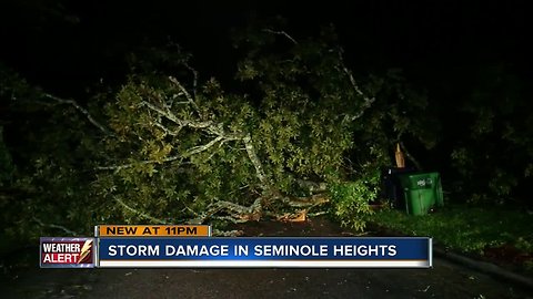 Storm damage reported in Seminole Heights