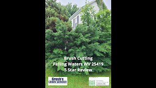 Brush Cutting Falling Waters WV Review 5 Star Video