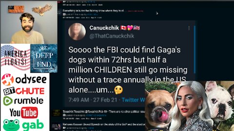 Lady Gaga's Dogs FOUND, Still No Word On 500K Missing Children In USA