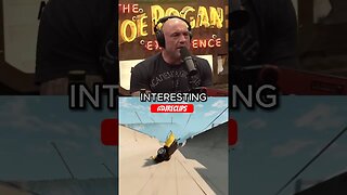 Joe Rogan on Andrew Tate’s Intellect.