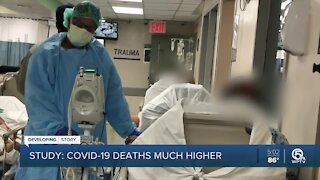 Florida's COVID death count under new scrutiny following study