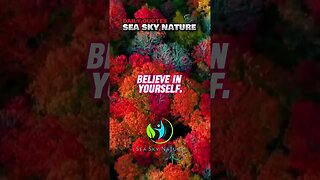 3 Important Rules | Sea Sky Nature Motivational Quotes