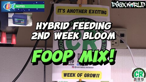 Hybrid feeding of 2 of my cannabis plants with FOOP 2nd Week Bloom nutrient mix! #organicfertilizer