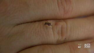 Maricopa County Vector Control is preparing for mosquitos