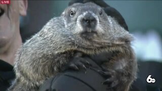 Weather experts react to Punxsutawney Phil prediction