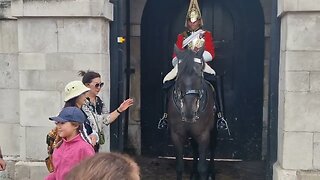 Don't touch the reins she keeps coming back #horseguardsparade