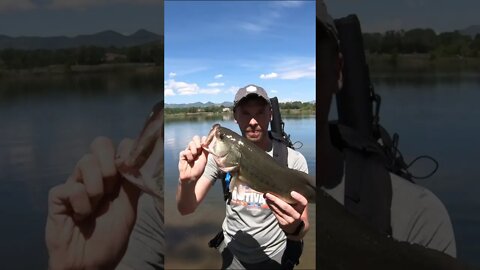 Personal best largemouth bass fishing in Colorado