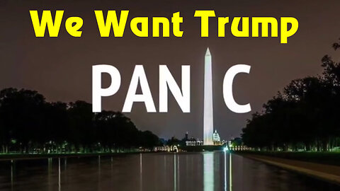 We Want Trump - PANIC