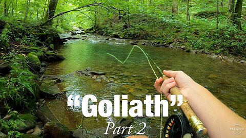 Catching BIG Brook Trout in a BEAUTIFUL Creek! (GOLIATH pt. 2)