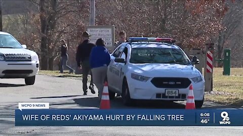 Woman hurt by falling tree is Shogo Akiyama's wife, Reds confirm