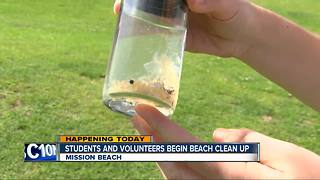 Hundreds of students to clean Mission Beach