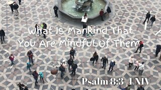 What Is Mankind That You Are Mindful of them? - Psalm 8:3-4 NIV