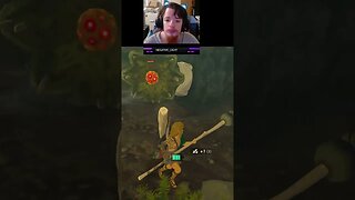 BOMB STICKs Explode Apparently | Zelda Tears of the Kingdom Stream Clip