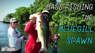 Fishing Bluegill Beds with Senkos