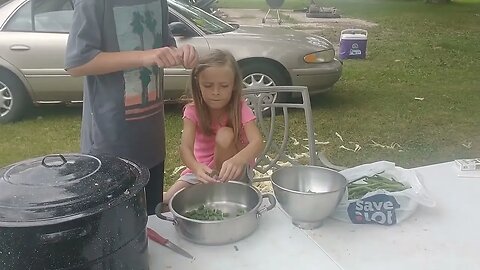 How to Freeze Green Beans No Blanching #Preserving #Freezing #FoodPreserving