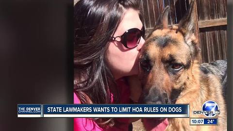 Lawmaker wants to stop discrimination against large breed dogs in Colorado