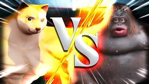 Fight Club (but it's memes) - Doge Fight