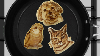 Chef Cooks Flippin’ Great Pet Pancakes: MAKING MAD