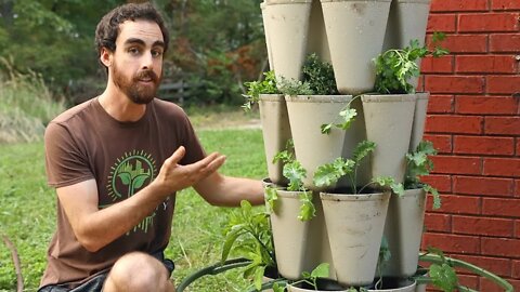 Vertical Gardening: Grow More Food in Less Space