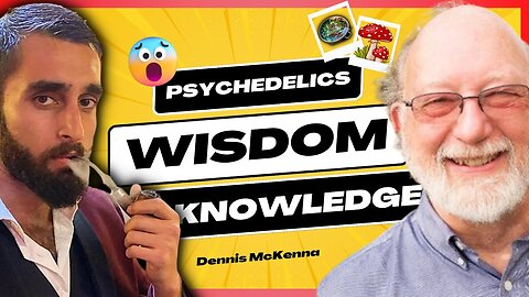 4 Questions Hammad Chaudhry and Dennis McKenna : Psychedelics, Plants and wisdom.