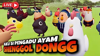 Ini ayam ku, mana ayam mu? | Aku Si Penggadu Ayam