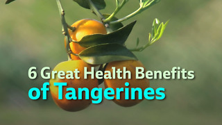 6 Great Health Benefits of Tangerines