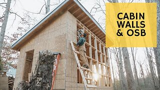 Sheathing Cabin Walls - Cabin Build Ep.13