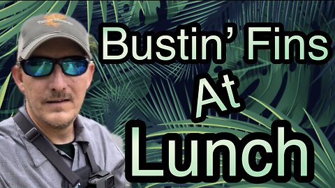 Bustin’ Fins At Lunch