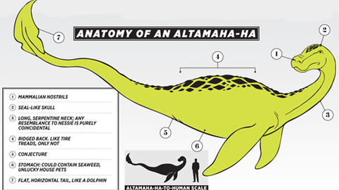 The "Altamaha-ha"...Georgia's Loch Ness Monster