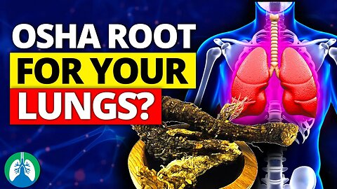 How to Detox and Cleanse Your Lungs with Osha Root ❓