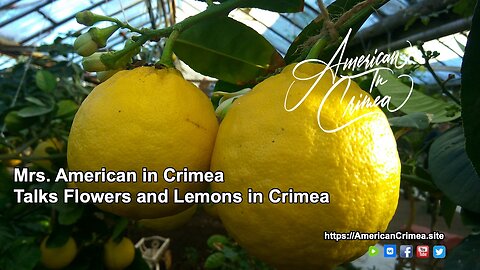 Mrs. American in Crimea on gardens and lemons in Crimea