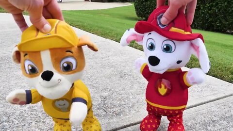 165 4Paw Patrol ¡Ve a nadar en un día caluroso y aprende sobre el dinero y la responsabilidad!