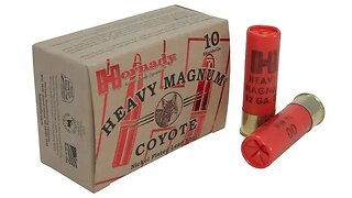 Unforeseen Challenges: Worst 00 Buckshot I Ever Used. Hornady Heavy Magnum Coyote Ammunition 3"