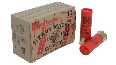 Unforeseen Challenges: Worst 00 Buckshot I Ever Used. Hornady Heavy Magnum Coyote Ammunition 3"