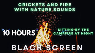 Sitting by the Campfire at Night | Crickets and Fire Crackling on the campgrounds *BLACK SCREEN*