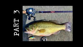 Full Breakdown of Fishing Crankbaits - Part 3