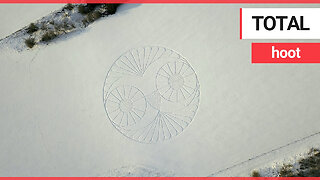 Walker astonished when he stumbles upon an enormous owl-shaped 'snow circle'