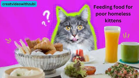 Feeding food for poor homeless kittens in pagoda
