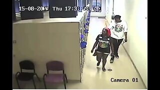 Police look to identify 2 suspects who stole a puppy from a local animal shelter