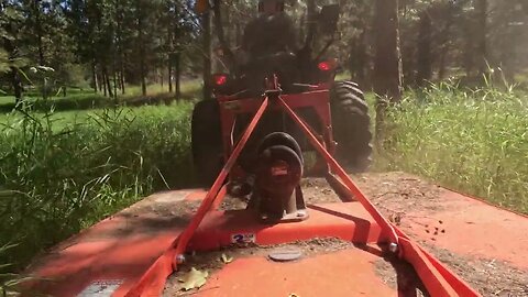 Mowing the Triangular Forest w/ Kioti CK3510SE Tractor in the Mountains of North Idaho