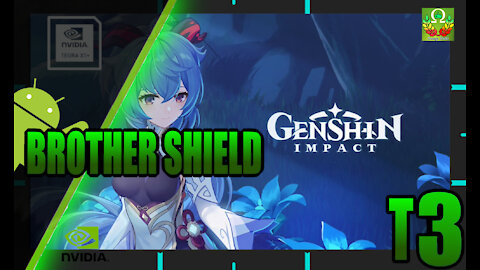 miHoYo: Genshin Impact - iOS/Android - HD Testing | Nvidia Shield TV | Tegra X1 | V3