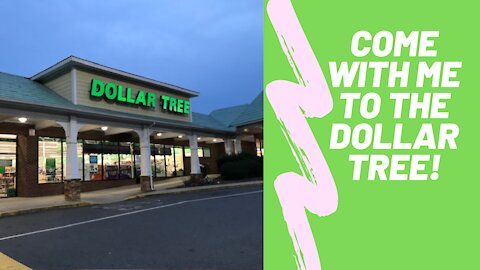 Halloween/Fall and Christmas items at the Dollar Tree