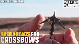 Which Broadhead You Should Use With Your Crossbow