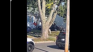 Black Hits His Mother With his CarFleeing Police In Fort Wayne, IN."