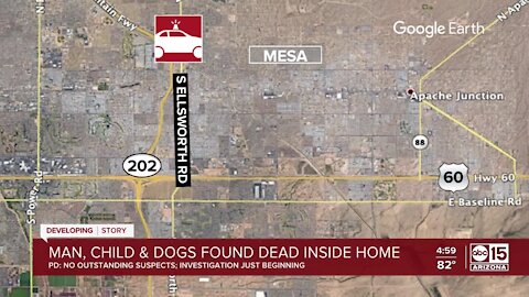 Police investigating after child, man and 2 dogs found dead inside Mesa home