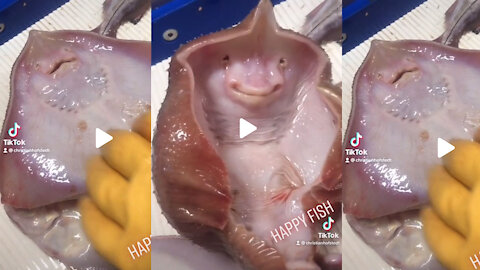 Happy Fish - Top Funny Clip Ever (REALLY FUNNY!!)