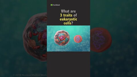 POP QUIZ: 3 traits of eukaryotic cells?