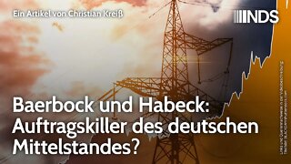 Baerbock und Habeck: Auftragskiller des deutschen Mittelstandes? | Christian Kreiß | NDS-Podcast